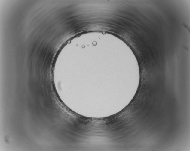 X0000099930848200806131401