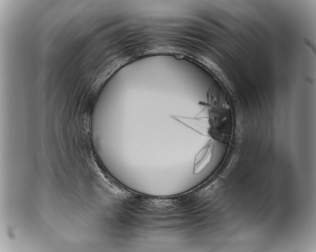 X0000099930849200806131401