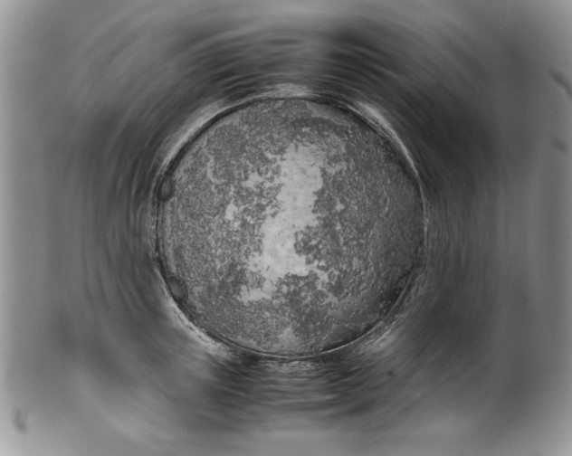 X0000099930851200806131401