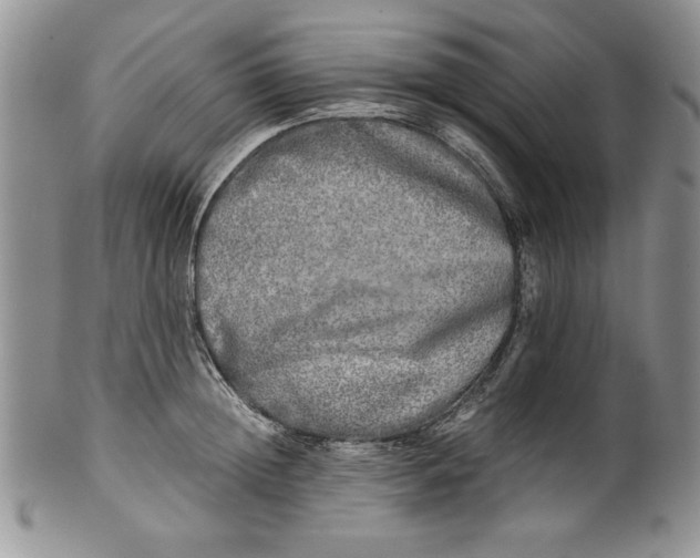 X0000099930852200806131401