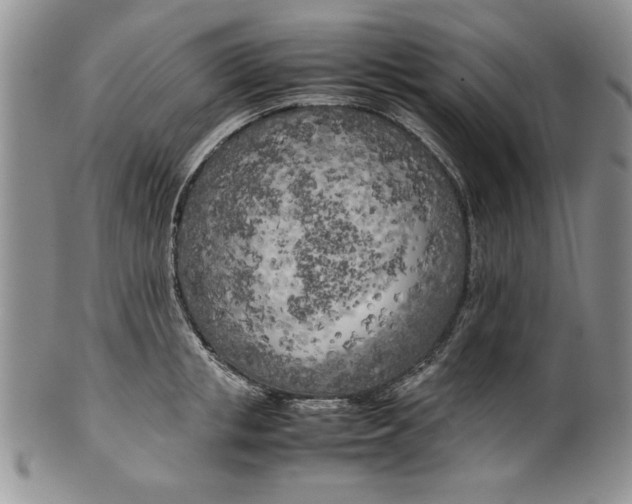 X0000099930853200806131401