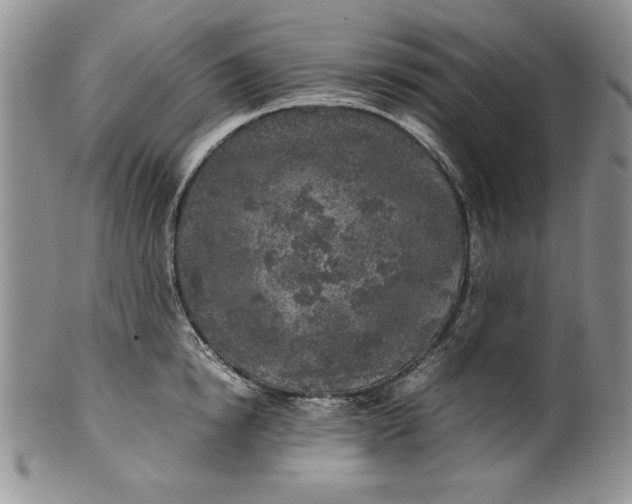 X0000099930854200806131401