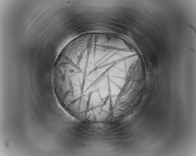 X0000099930855200806131401