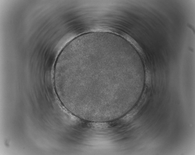 X0000099930856200806131401