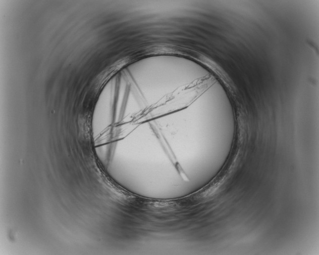 X0000099930857200806131401