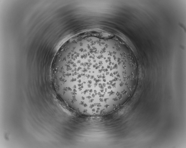 X0000099930858200806131401