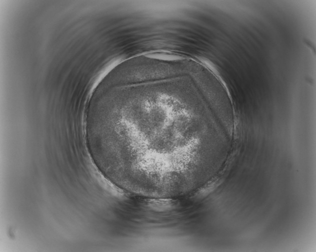 X0000099930859200806131401