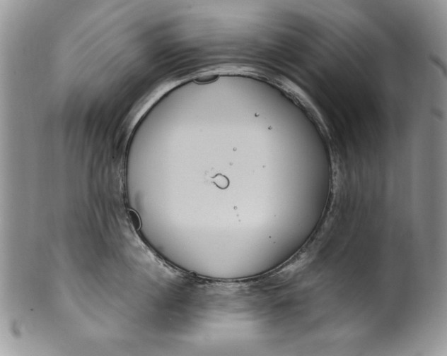 X0000099930860200806131401