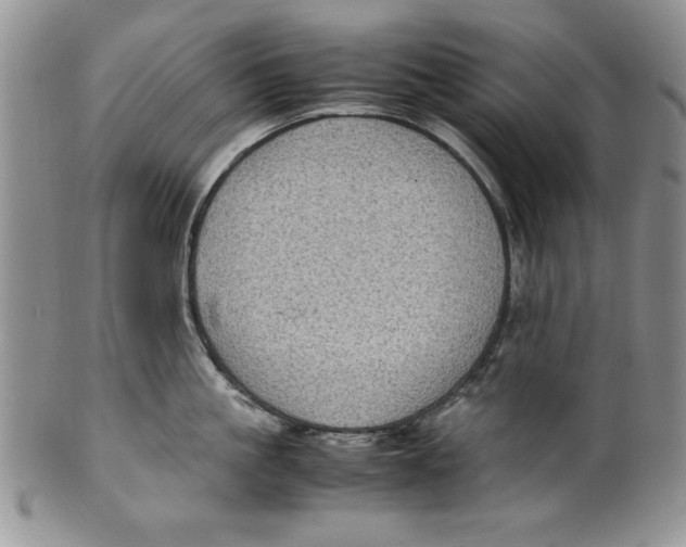 X0000099930861200806131401