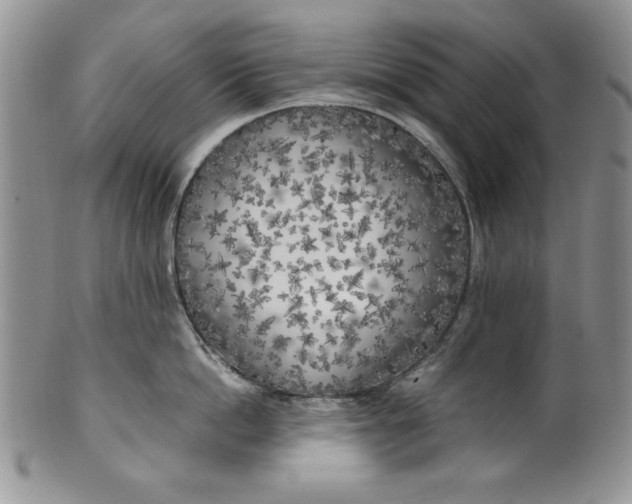 X0000099930862200806131401