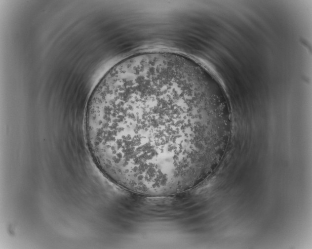 X0000099930863200806131401