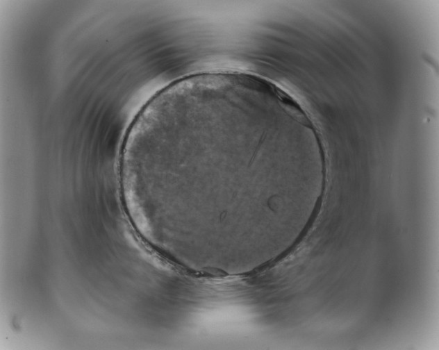 X0000099930864200806131401