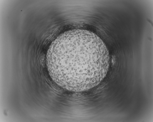 X0000099930867200806131400