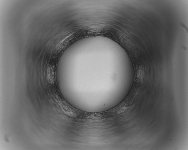 X0000099930868200806131400