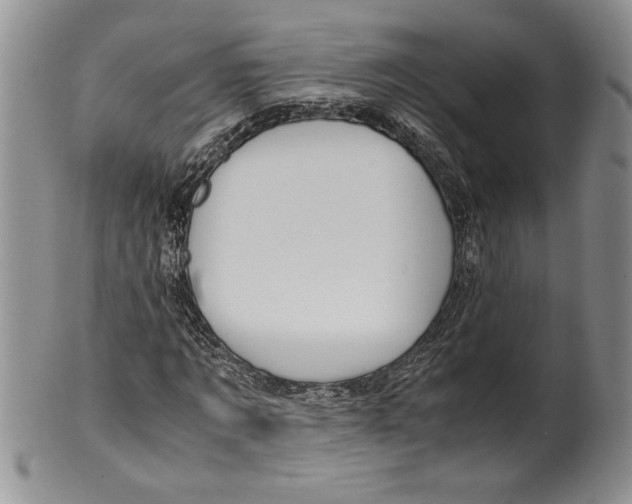 X0000099930869200806131400