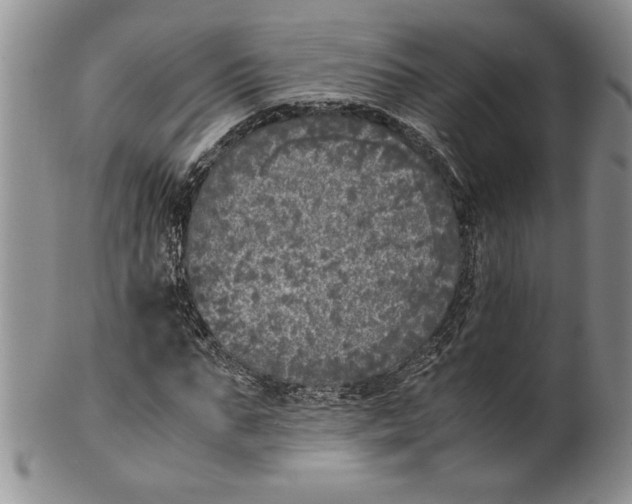 X0000099930871200806131400