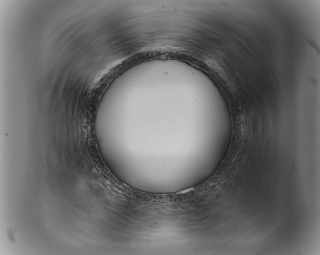 X0000099930872200806131400