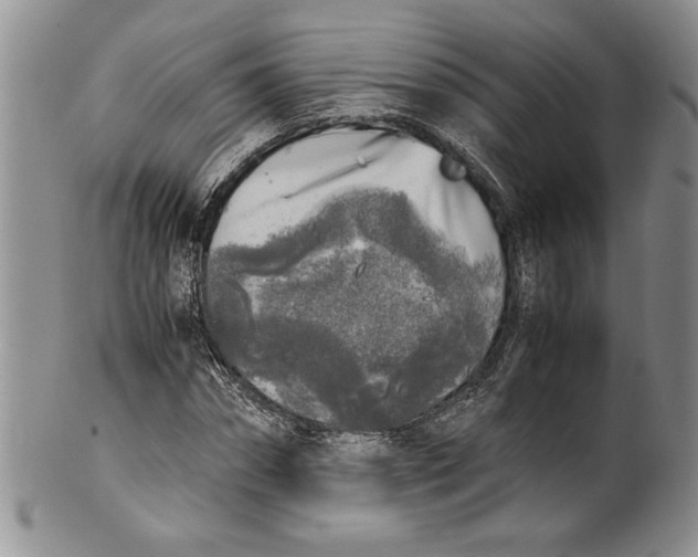 X0000099930874200806131400