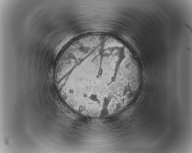 X0000099930875200806131400