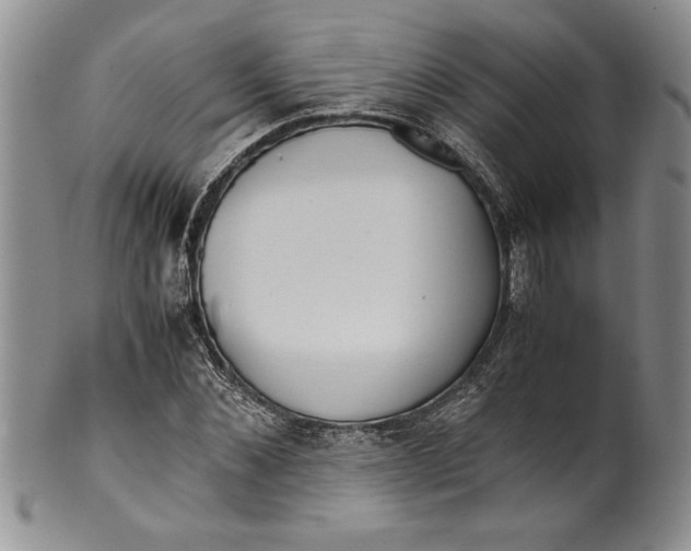 X0000099930876200806131400