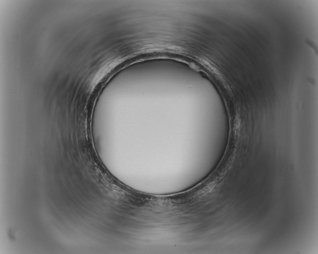 X0000099930877200806131400