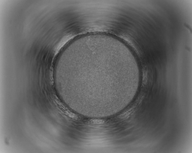 X0000099930878200806131400