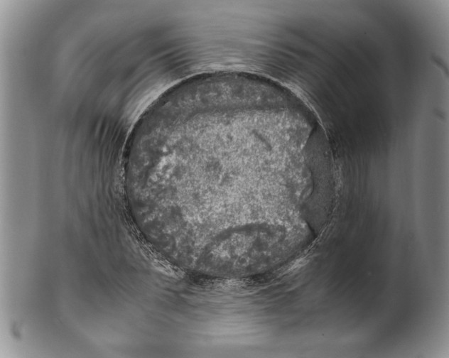 X0000099930879200806131400