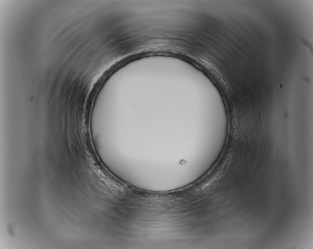 X0000099930880200806131400