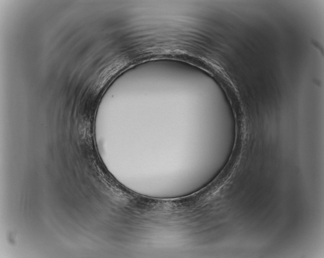 X0000099930881200806131400