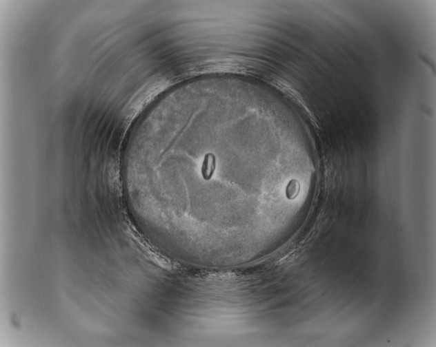 X0000099930882200806131400