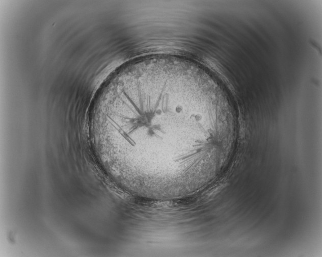 X0000099930883200806131400