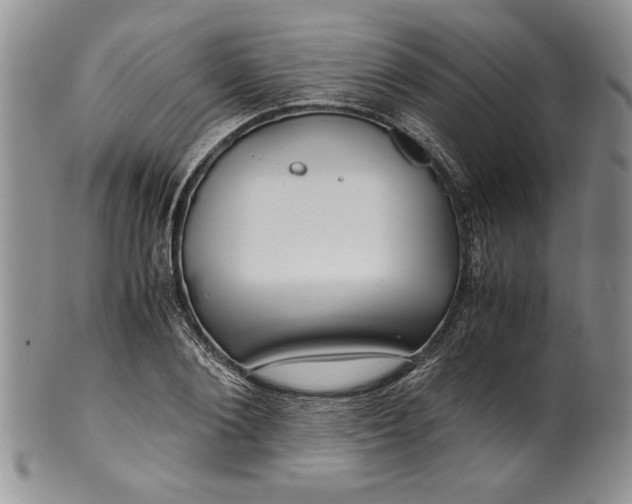 X0000099930884200806131400