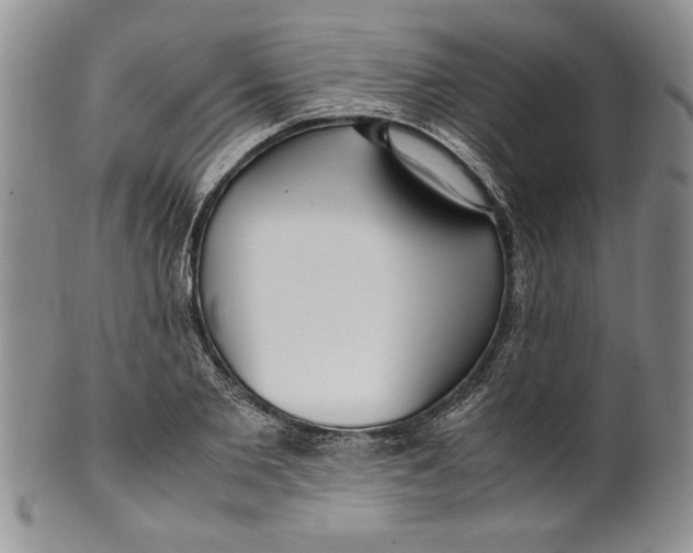 X0000099930885200806131400