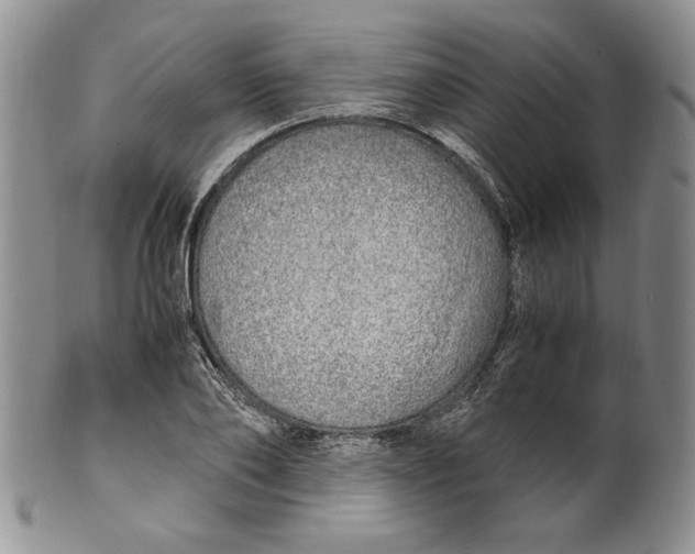 X0000099930886200806131400