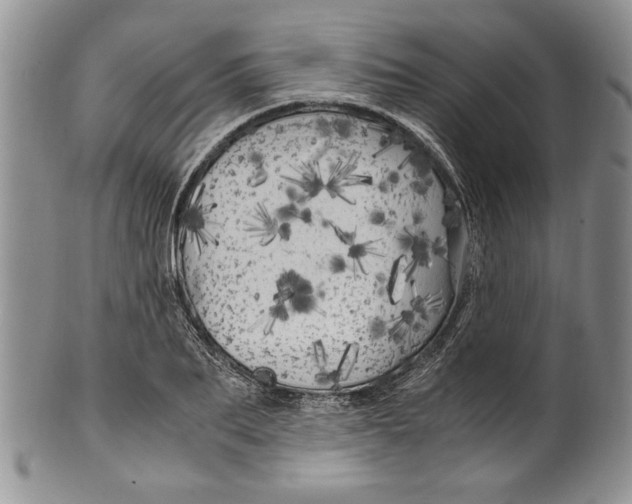 X0000099930887200806131400