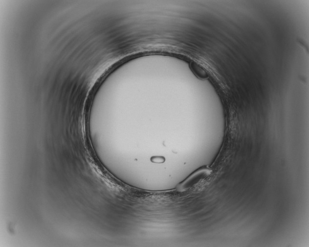 X0000099930888200806131400