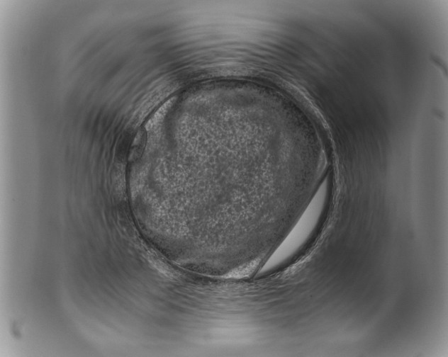 X0000099930889200806131400