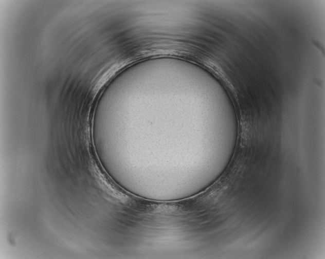 X0000099930890200806131400