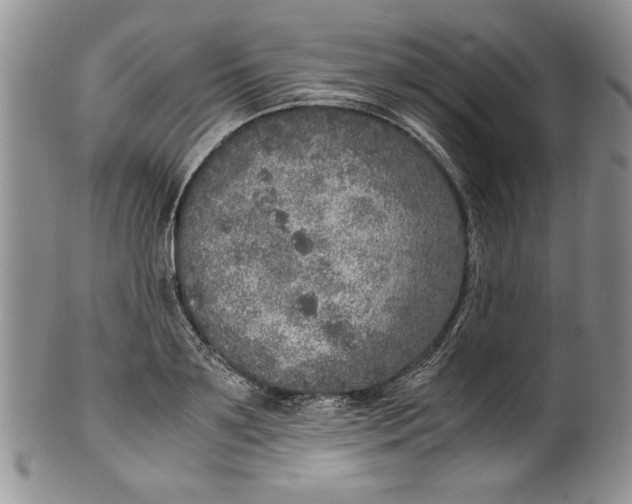 X0000099930891200806131400