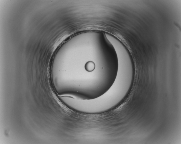 X0000099930893200806131400