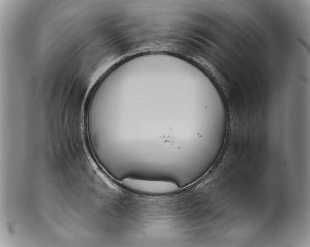 X0000099930894200806131400