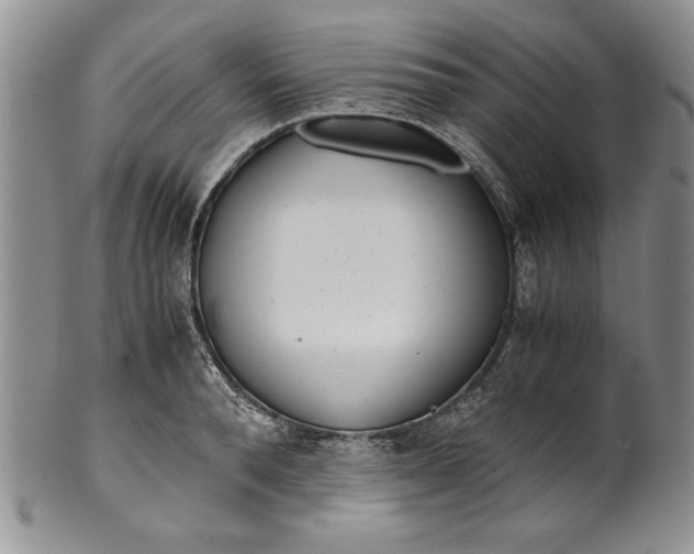 X0000099930896200806131400