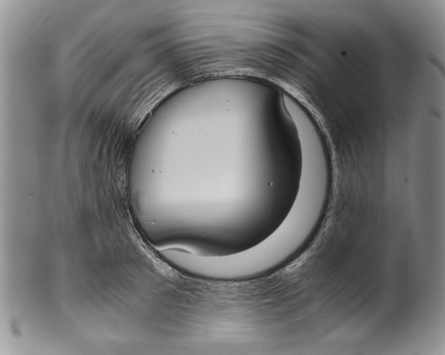 X0000099930897200806131400