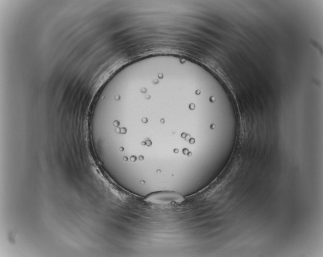 X0000099930898200806131400