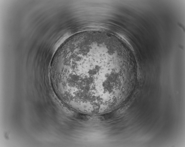 X0000099930899200806131400