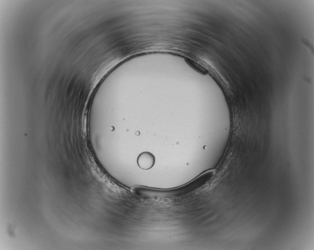 X0000099930900200806131400