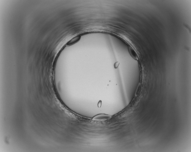 X0000099930901200806131400