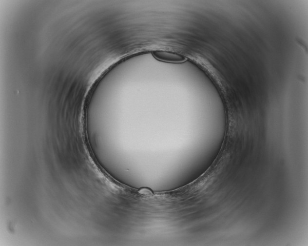 X0000099930902200806131400