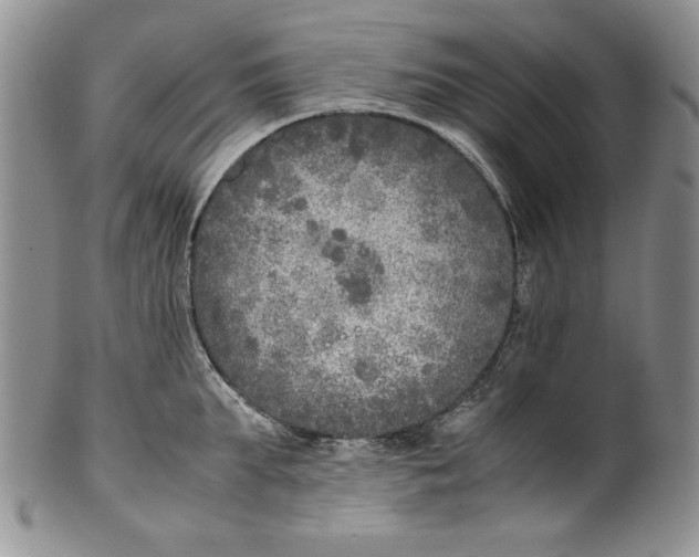 X0000099930903200806131400