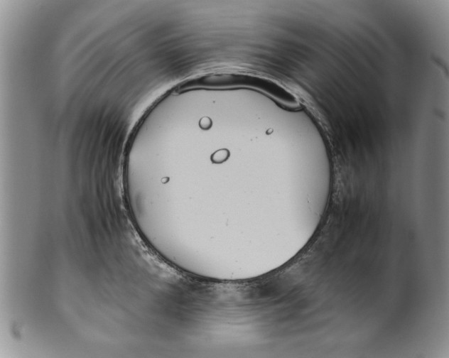 X0000099930904200806131400